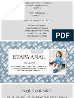 Etapa Anal