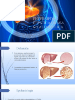 Enfermedad Hepática Aguda No Alcohólica