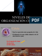 Niveles de Organización Celular