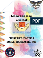 Cartilla Cuentas T Partida Doble PUC