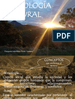 Introducción Sociologia Rural