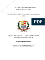 Derechos Humanos V - 2021 - II .-Silabo Tematico