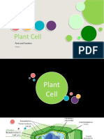 Plant Cell: Parts and Function