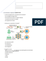 Actividad Ingenieria Genetica 10°