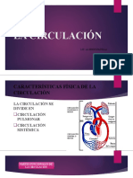 La Circulación