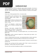 Download analizatorul vizual by Alessandra Mca SN52633475 doc pdf