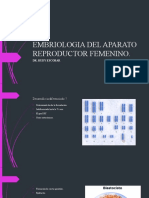 Embriologia Del Aparato Reproductor Femenino