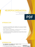 Neuropsicopedagogía: aprendizaje, cerebro y educación