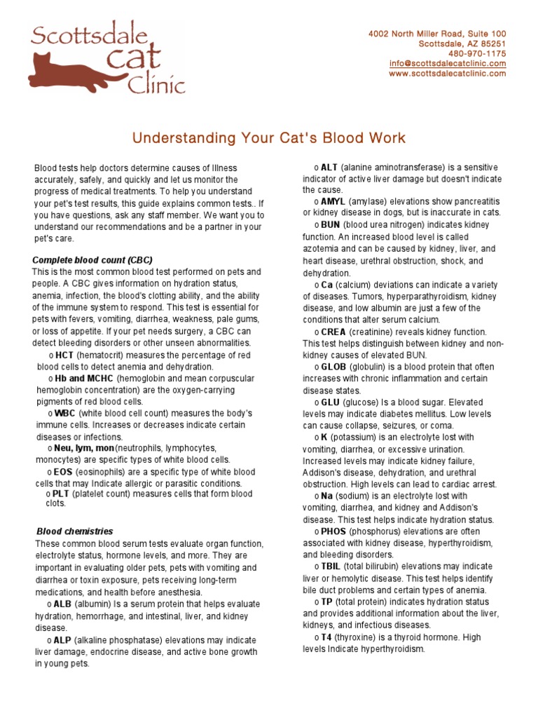 Understanding Your Cat's Blood Work Complete Blood Count (CBC) PDF