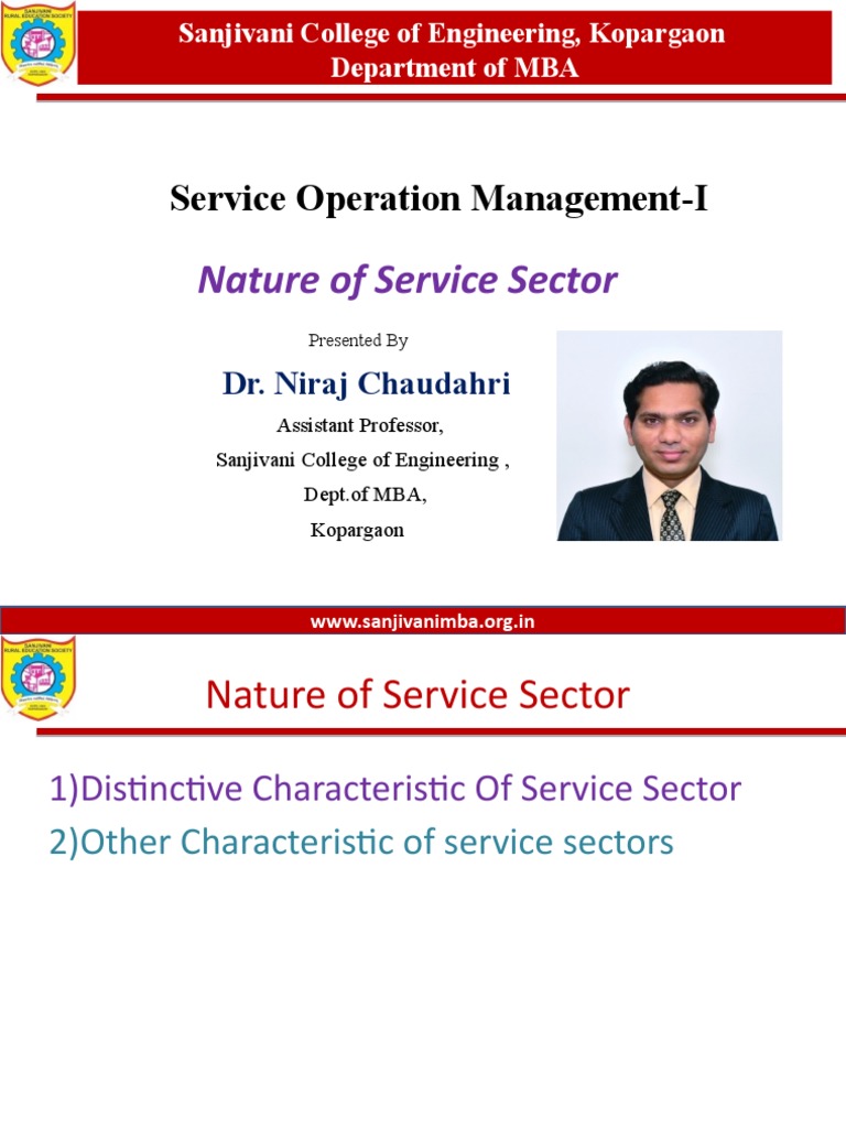 Nature of Service Sector | PDF