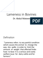 Lameness in Bovines: Dr. Abdul Mateen
