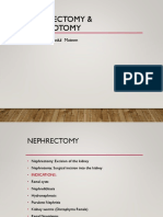 Nephrectomy & Nephrotomy: Dr. Abdul Mateen