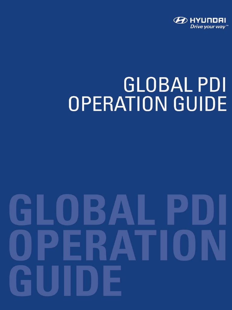 Global PDI Operation Guide Overview | PDF | Delivery (Commerce) | Transport
