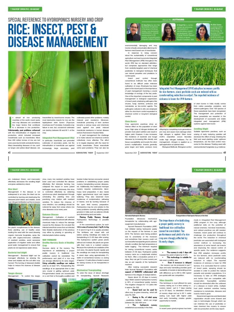 Rice: Insect, Pest & Disease Management: Special Reference To ...