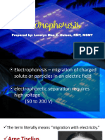 Electrophoresis 2