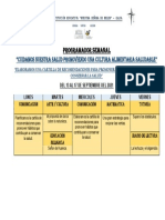 Programador Semanal