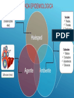 Triada Epidemiologica Vha