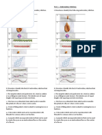 TLE 7 - HP - Embroidery Stitches Quiz