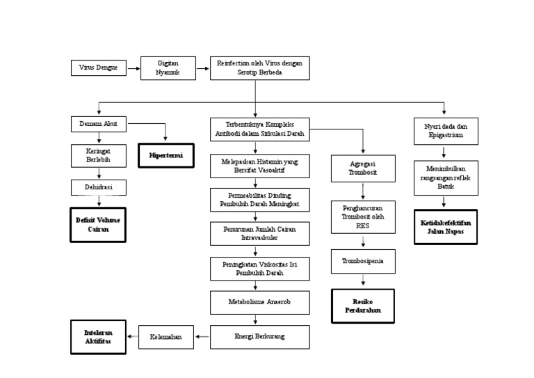 Pathway Demam Berdarah Dengue dan DSS | PDF