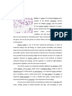 Bacillus: Bacillus Includes Both Free-Living and Pathogenic