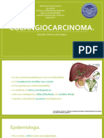 Colangiocarcinoma 161022221205