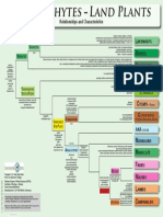 Embryophytes Land Plants - Relationships and Characteristics (2019)