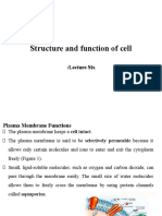 Structure and Function of Cell Lab6