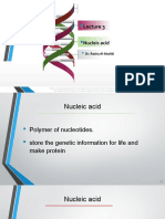 Nucleic Acid