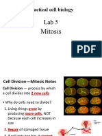 Lab 5 Mitosis
