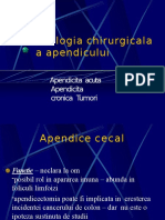 Patologie Apendiculara