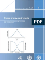 Recomendaciones Dieteticas Diarias FAO - OMS