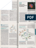 Ciclo Celular - Lodish - 5ta Ed