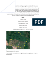 Presupuesto para Sistema de Riego Por Goteo para El Cultivo de Yuca