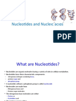 Nucleotides and Nucleic Acids: The Building Blocks of Life
