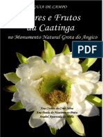 GUIA DE CAMPO - Flores e Frutos Da Caatinga