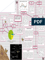 Mapa Macro Parte 2