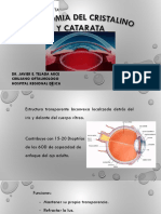 7 CRISTALINO Y CATARATA JTA