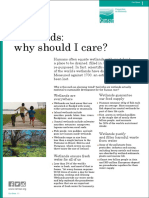 Wetlands: Why Should I Care ?