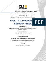 A1-Prac-Forense de Amparo