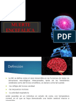 Muerte Encefalica