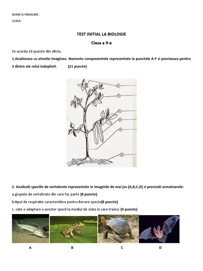 0 Test Initial Cls 9 | PDF