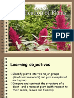 Week 4 Classification-Of-Plants