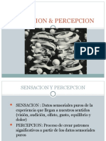 Sensacion_y_percepcion