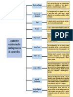 Organizador Grafico