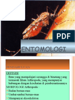 Entomologi