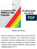 3 La Pluralidad en La NCPE - 2008