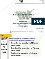 Plasma Membrane Structure and Functions