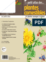 Petit Atlas Des Plantes Comestibles (60 Plantes Sauvages)