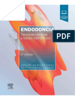 Endodonia (Spanish Edition) by Carlos Canalda Sahli (Canalda Sahli, Carlos)