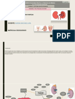 Funciones del riñón y sus alteraciones